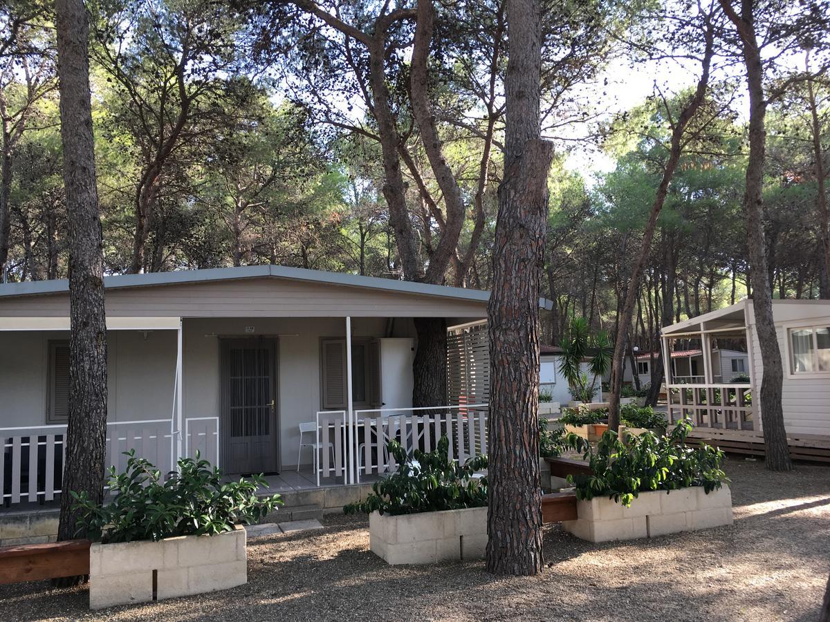 Riva Dei Greci Camping Village Metaponto Exteriör bild